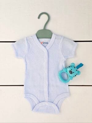 Klasikinis žydras smėlinukas